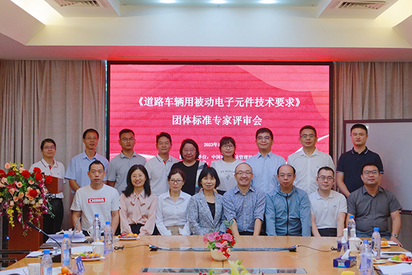 道路車輛用被動電子元件技術(shù)要求 道路車輛用被動電子元件技術(shù)要求